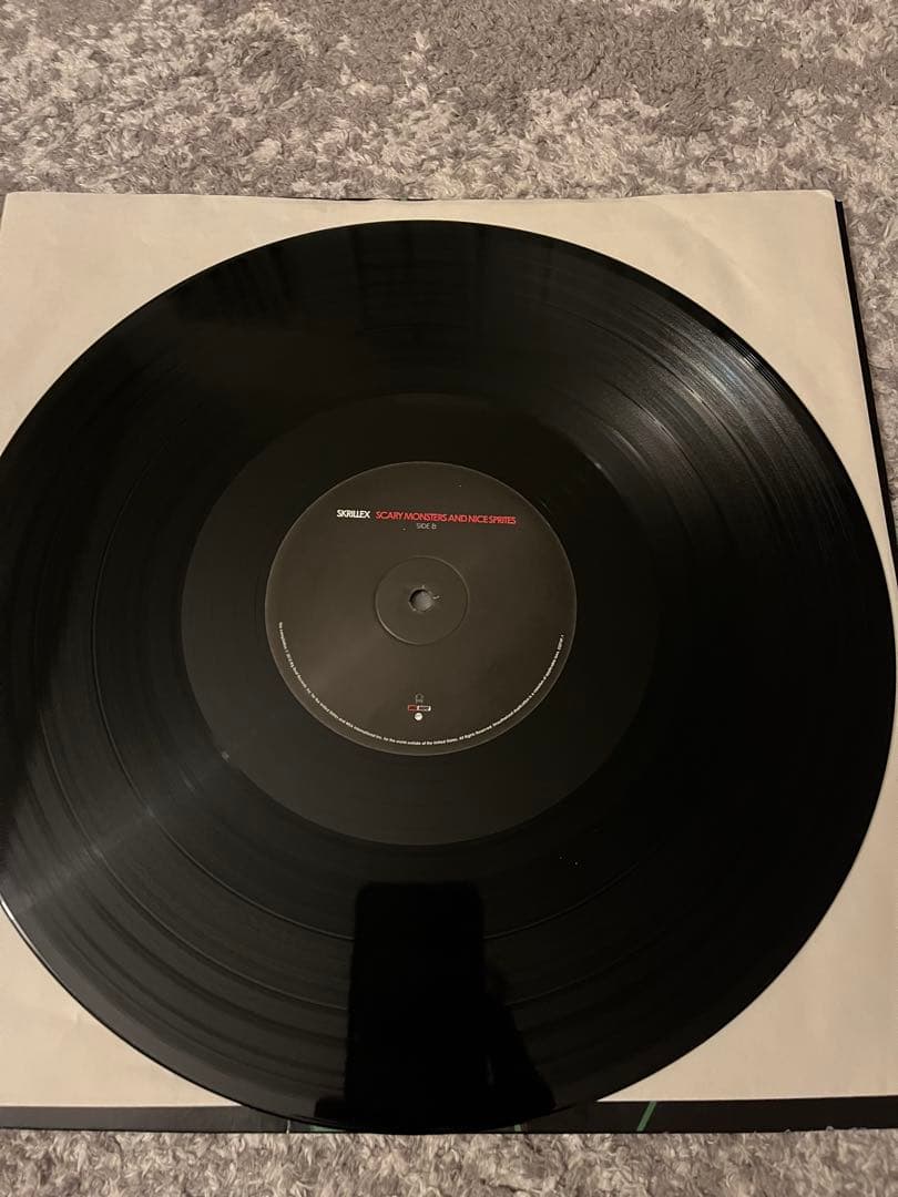 Skrillex Scary Monsters LP レコード 名盤 希少