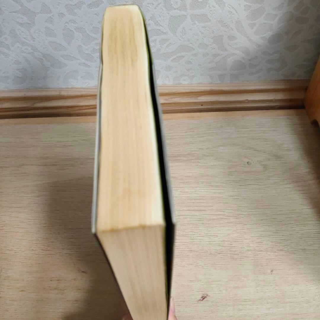 王樹金老師形意拳真伝