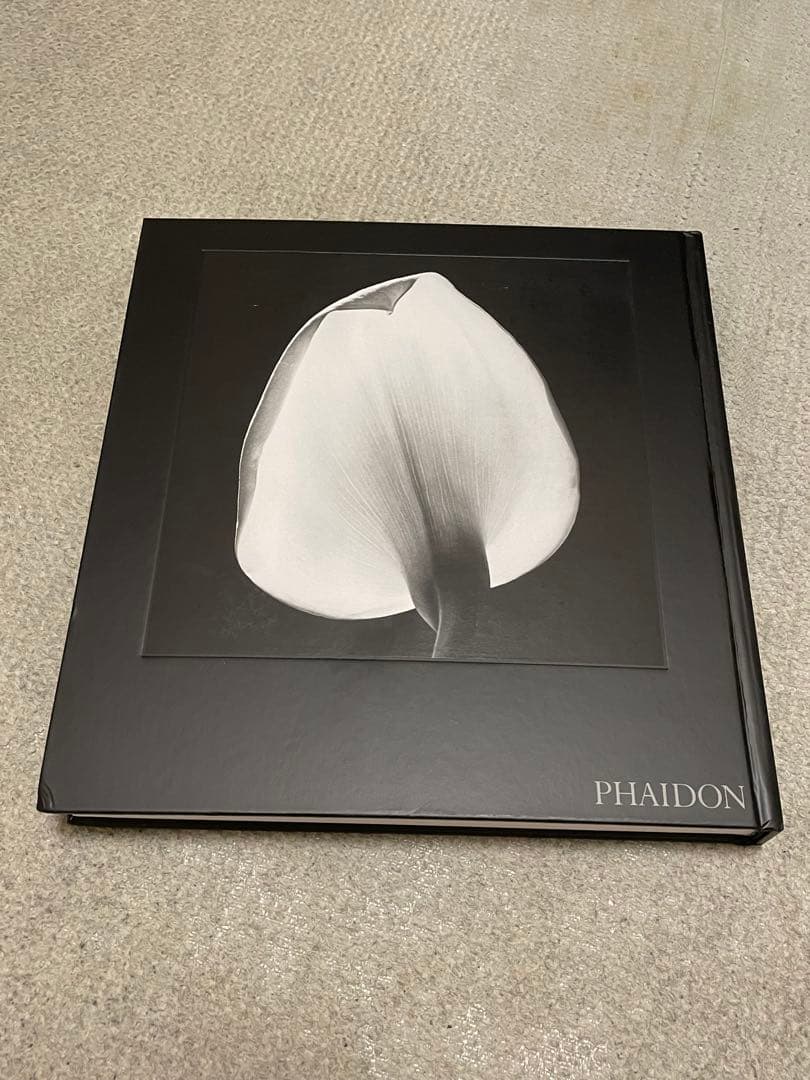 Robert Mapplethorpe / ロバート・メイプルソープ 花◆洋書