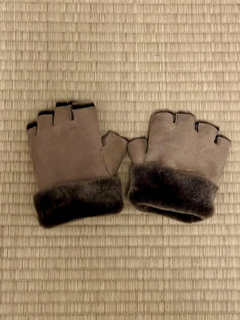 ブルーナボイン　ルードルフグローブ
