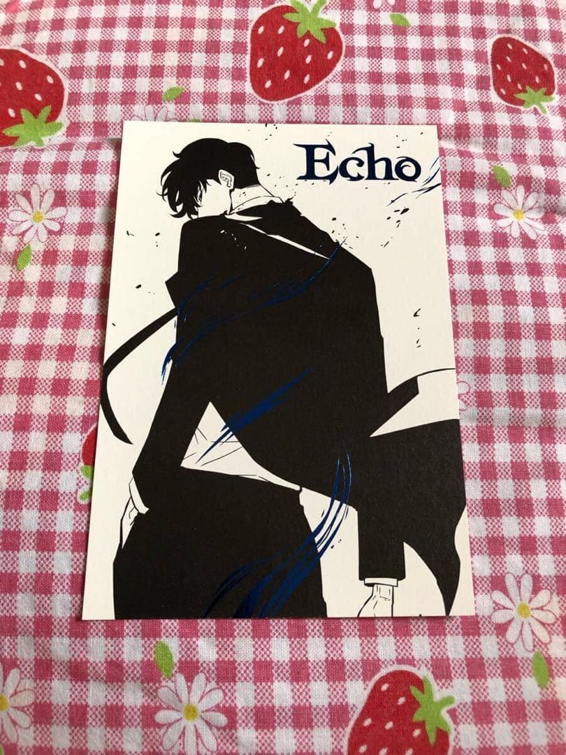 俺だけレベルアップな件 イラストカード 複製サイン入り Echo 店舗特典
