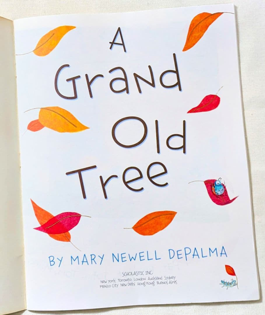 確認用◆洋書☆オススメ 英語絵本『A Grand Old Tree』◆