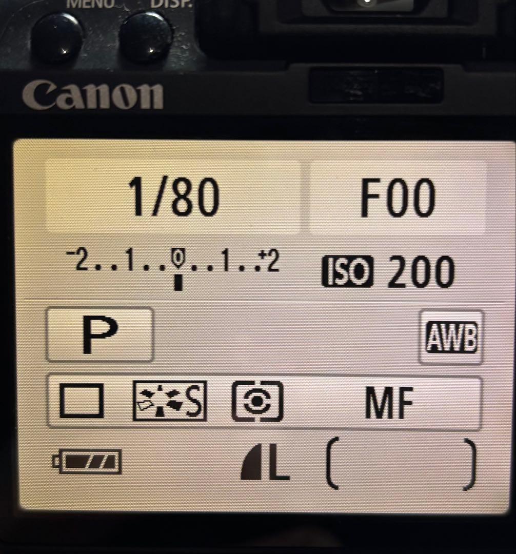 ＜作例あり＞EOS Kiss X2　デジタル一眼レフ　レンズ付き