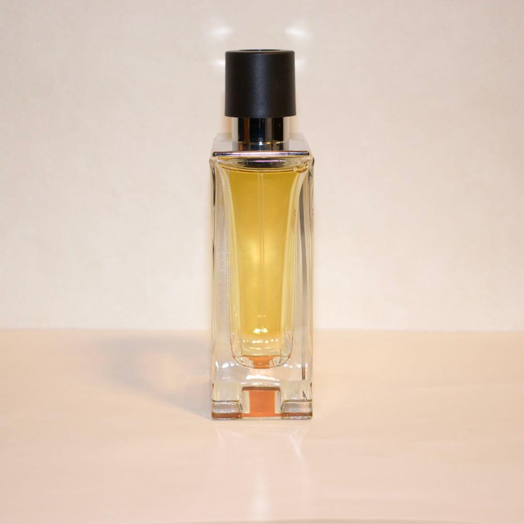 TERRE D'HERMÈS Eau de Toilette 100ml