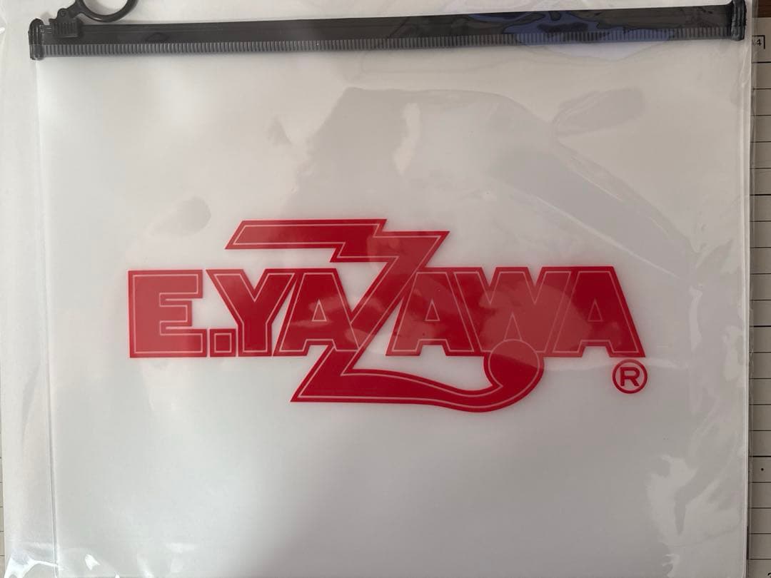 新品未開封　E.YAZAWA LIVE 2025 DVD + クリアファイル