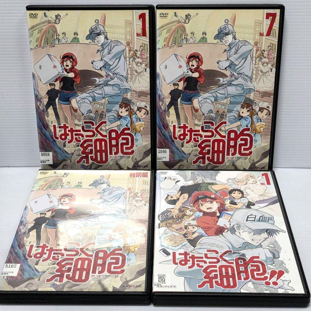 【新品ケース収納】はたらく細胞　DVD 1期+2期＋特別編　全12巻セット