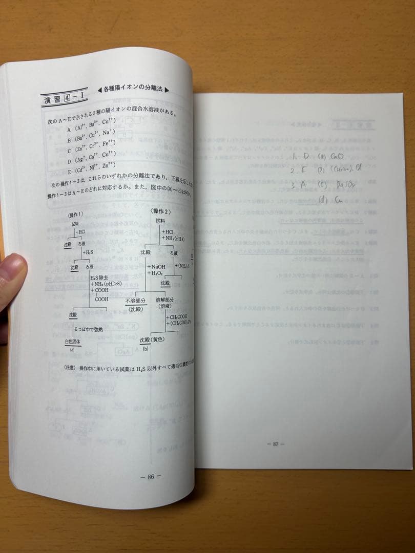 化学S Part1 景安師　プリント付き　駿台　通年