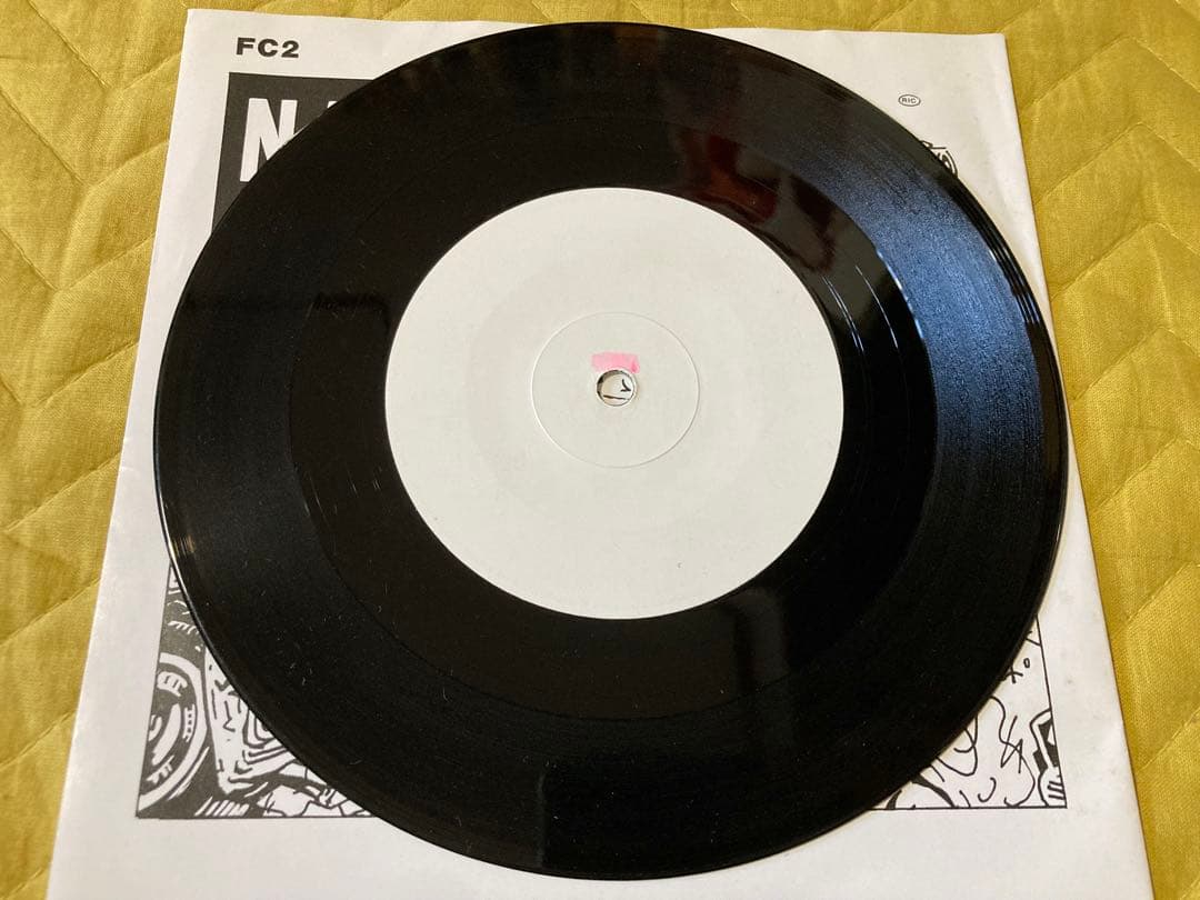 NASTY FACTS 7インチ us punk パンク天国　powerpop