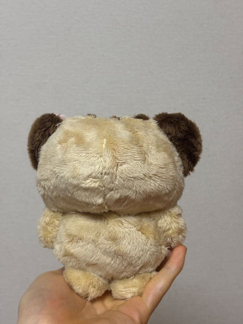 迷い猫 (カフェラテ)