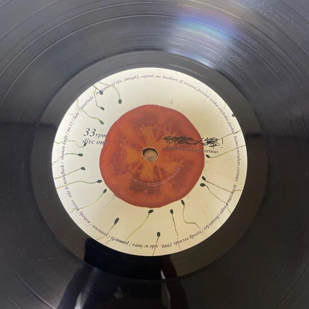 緑黄色人種 SHING02 アナログ盤 2枚組レコード 1999年 オリジナル盤